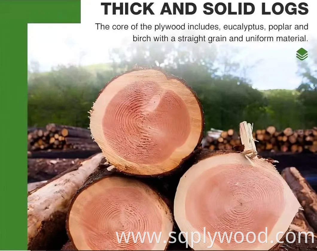 2440X1220X15mm 18mm Scaffolding Board Phenolic MDF Basswood Poplar Eucalyptus Birch Shuttering Scaffold Melamine Marine Plywood